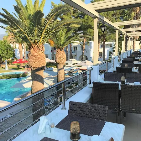 Отель Palladium 4*