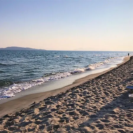 Отель Palladium