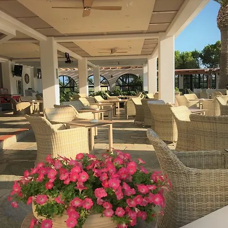 Hotel Palladium 3*