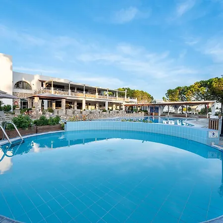 Отель Palladium 4*