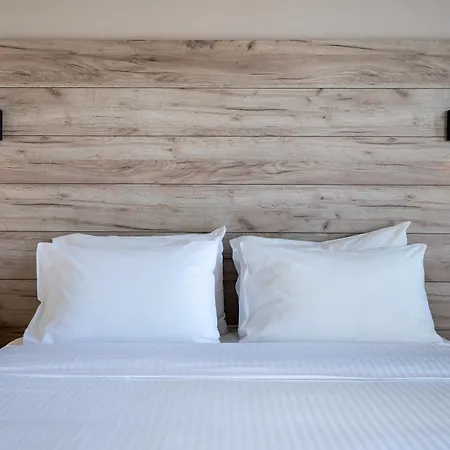 Отель Palladium 4*