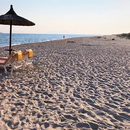 Отель Palladium 4*